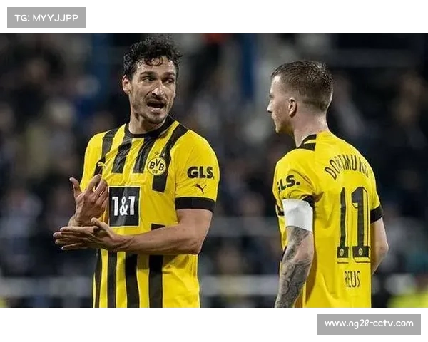 意大利球迷丢烟雾弹致比赛中断5分钟，裁判警告